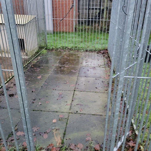 Rens og vask af hundegård