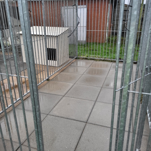Rens og vask af hundegård