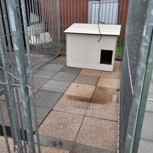 Rens og vask af hundegård