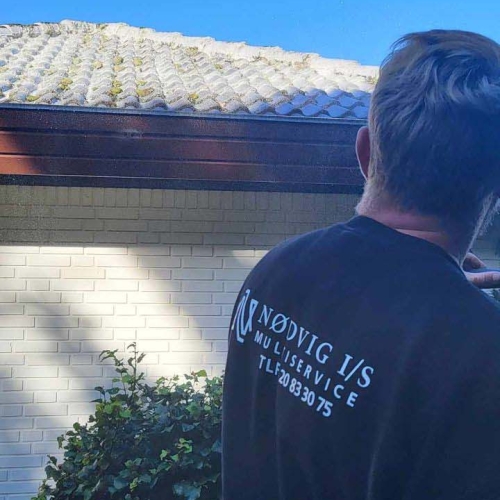 algebehandling af tegltag i Toftlund