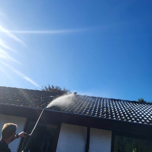 algebehandling af tag