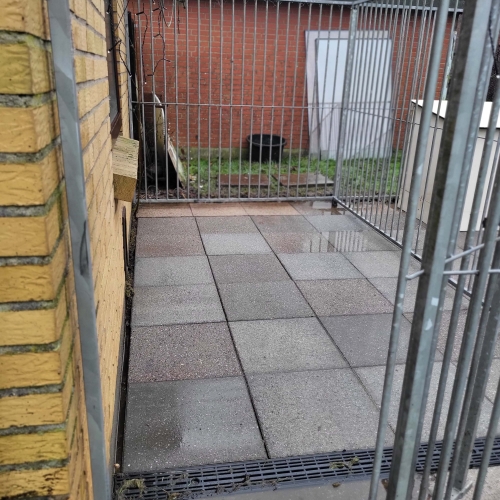 fliserensning af hundegår
