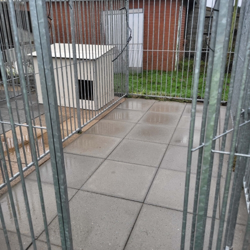 rensning af fliser i hundegård
