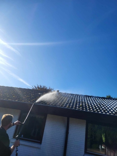 Algebehandling af tag