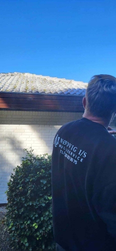 algebehandling af tegltag i Toftlund
