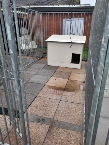 Rensning af fliser i hundegård