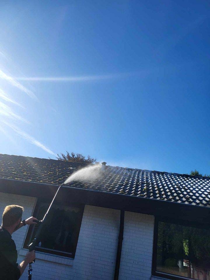 algebehandling af tag i Esbjerg