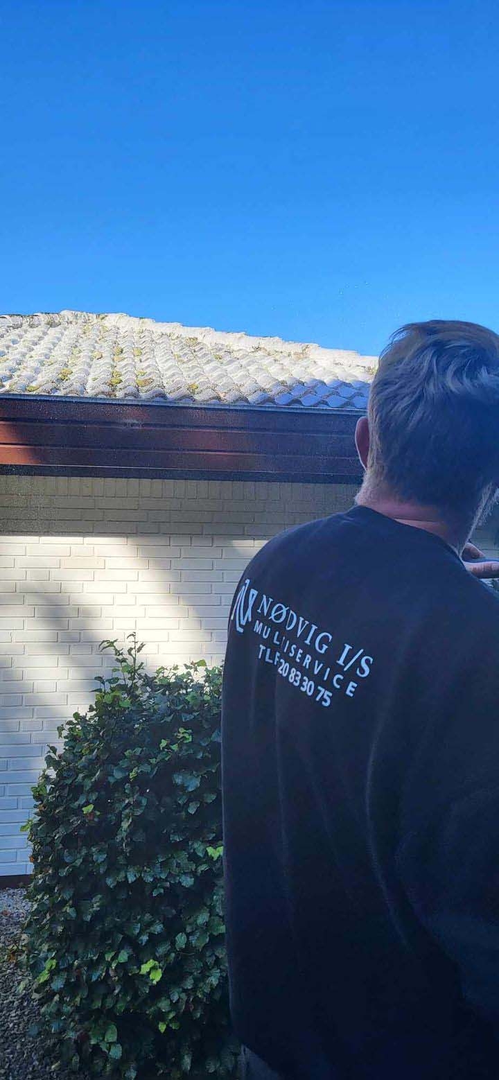 algebehandling af tegltag i Toftlund