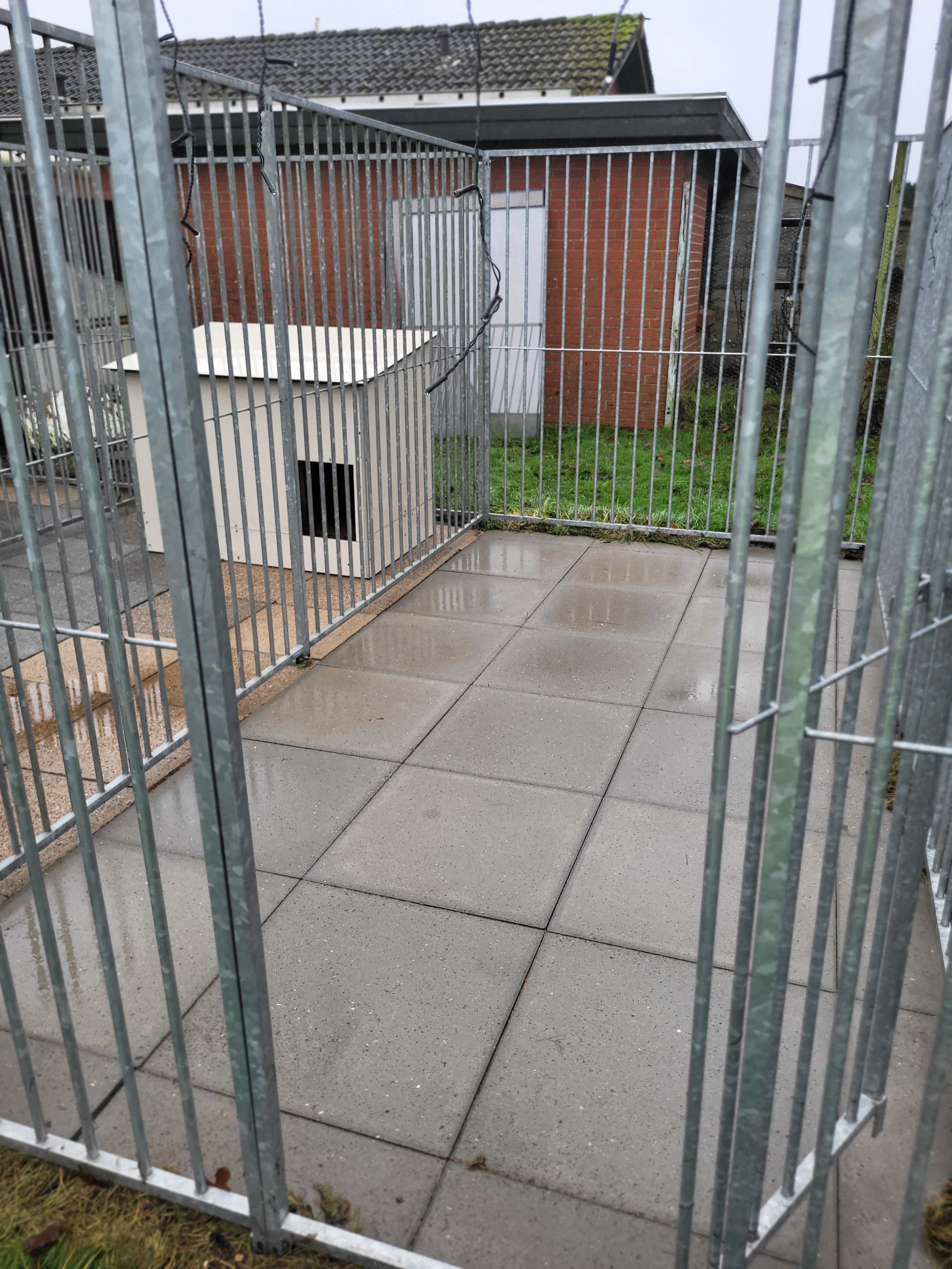 rensning af fliser i hundegård