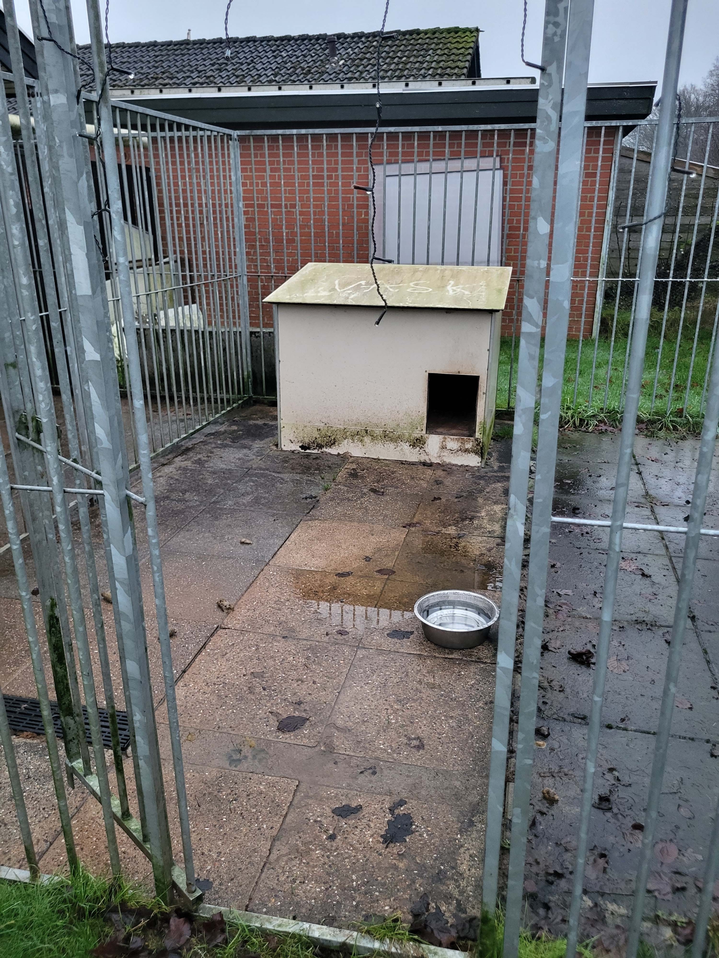 Rensning af fliser i hundegård